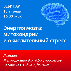 Вебинар «Энергия мозга: митохондрии и окислительный стресс»